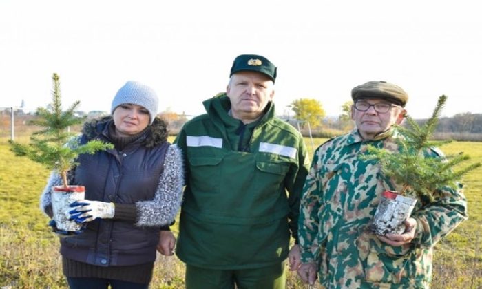 В Липецкой области активисты «Единой России» высадили «Аллею мира и надежды»