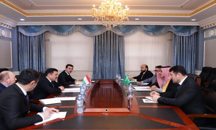 The meeting of the Deputy Minister with the Ambassador of Saudi Arabia